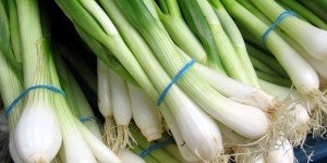 SPRING ONIONS