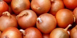 Yellow Onion