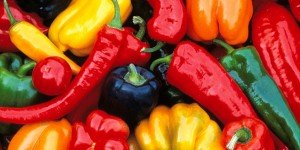 Capsicum&Pepper